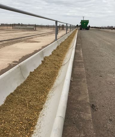 Comedero Feedlots